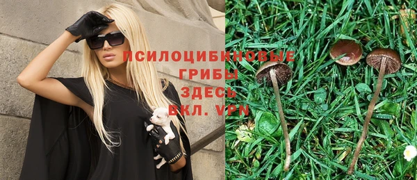 синтетический гашиш Вязьма