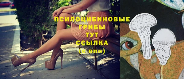 синтетический гашиш Вязьма