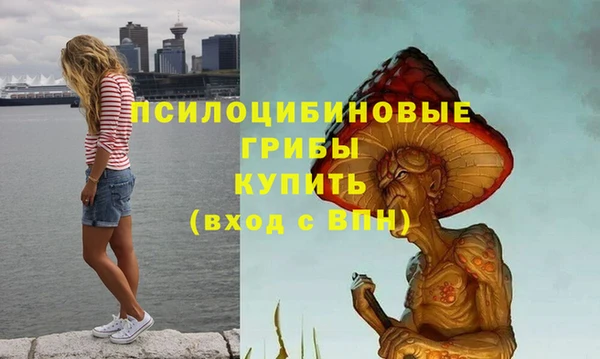 дживик Вязники