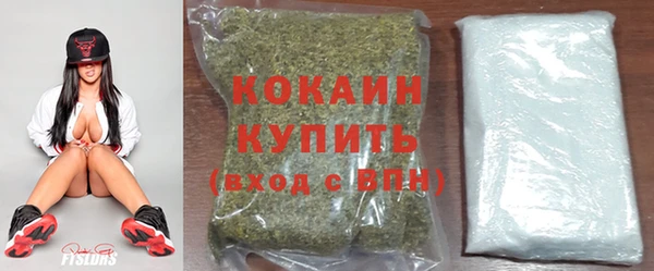 дживик Вязники