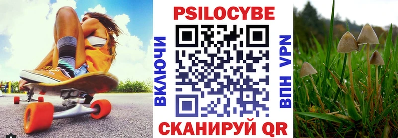 Купить где  Семилуки  Галлюциногенные грибы GOLDEN TEACHER 
